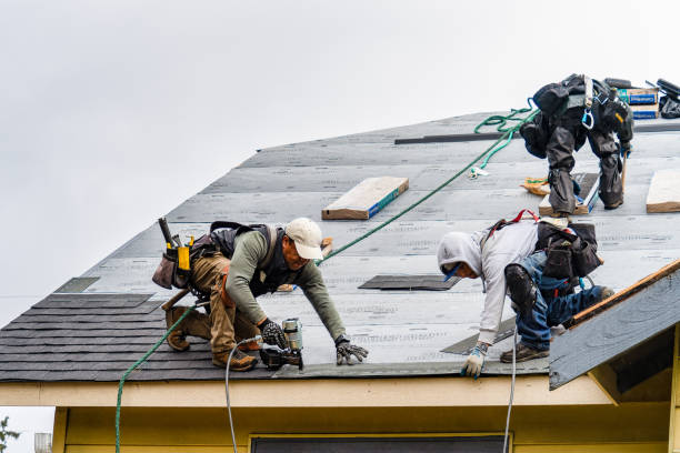 Professional Roofing technician working in Edgewood, WA